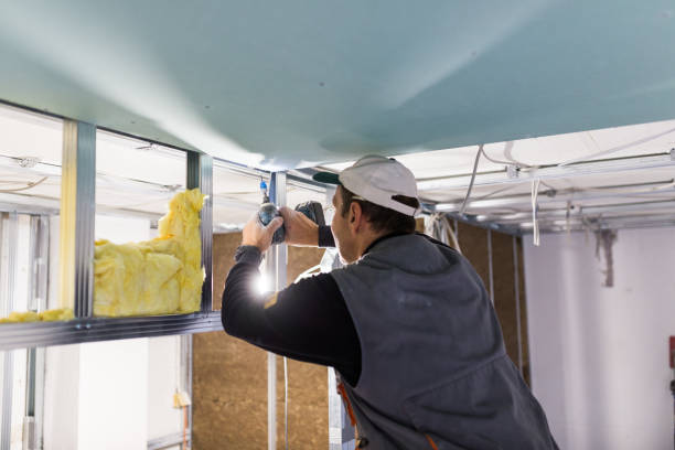 Best Crawl Space Insulation  in St Charles, MI